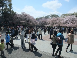 花見客でにぎわう上野公園の